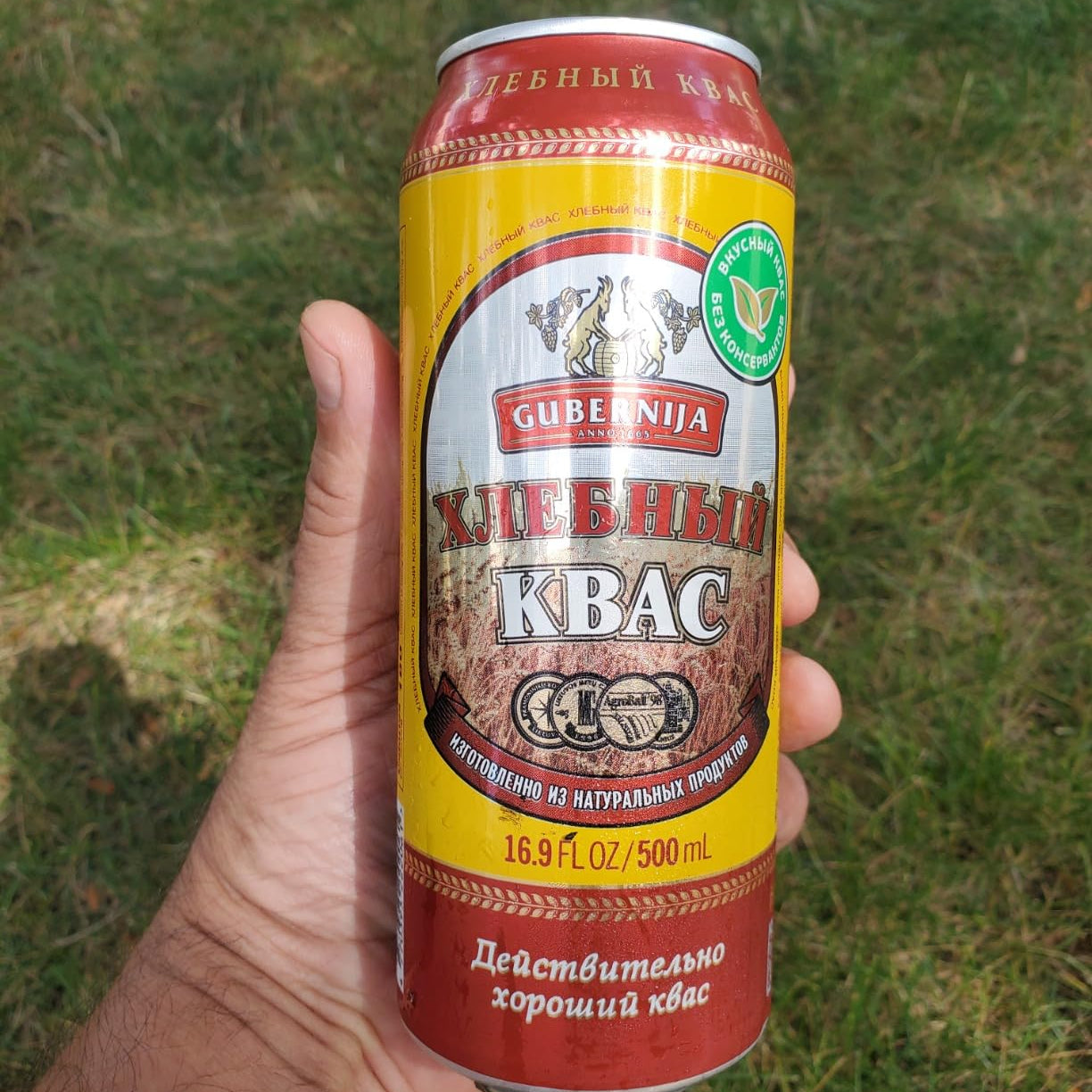 Hand holding a can of Gubernija Kvас against a grassy background